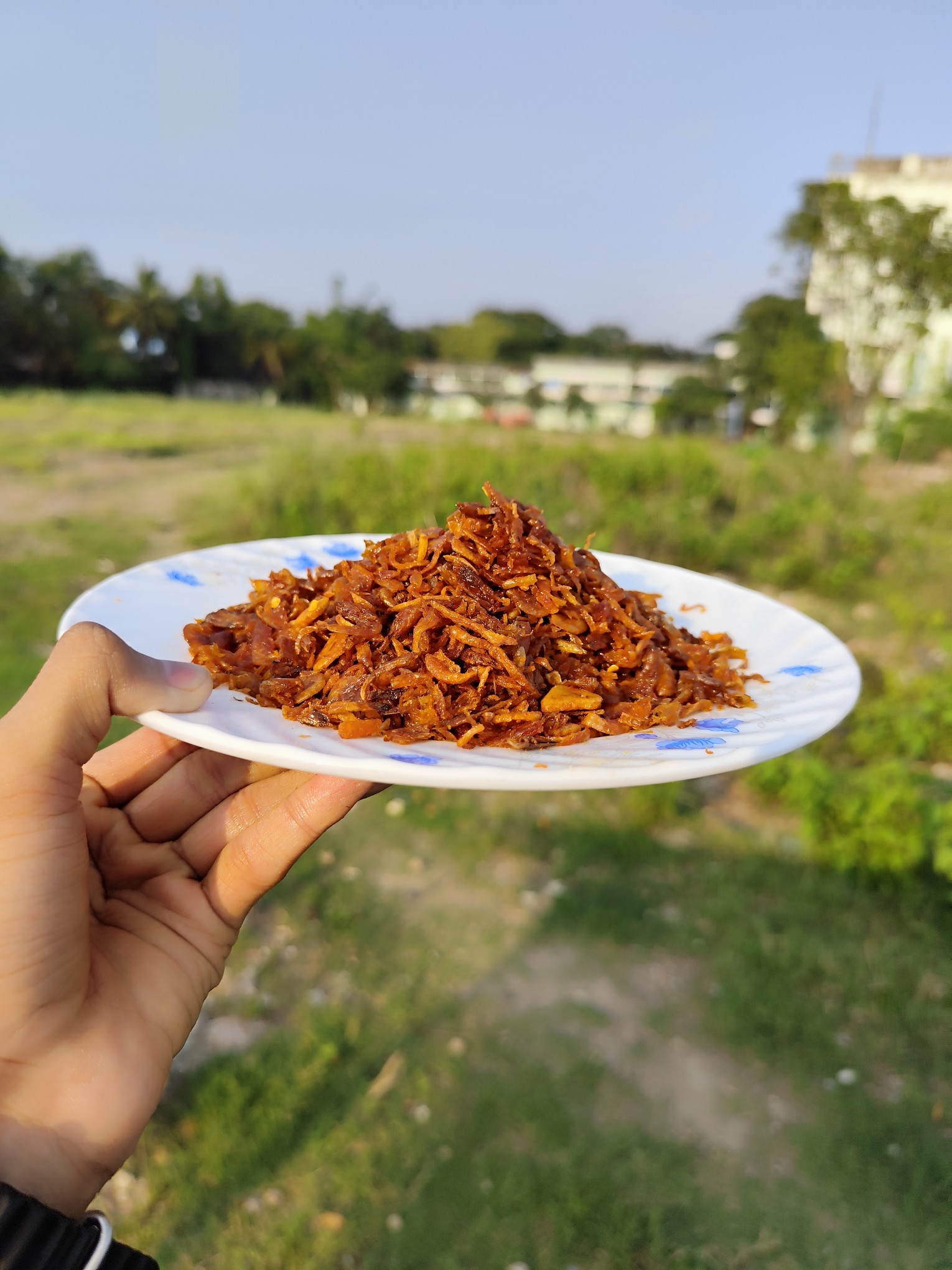 চিংড়ি বালাচাও প্লেটে পরিবেশিত